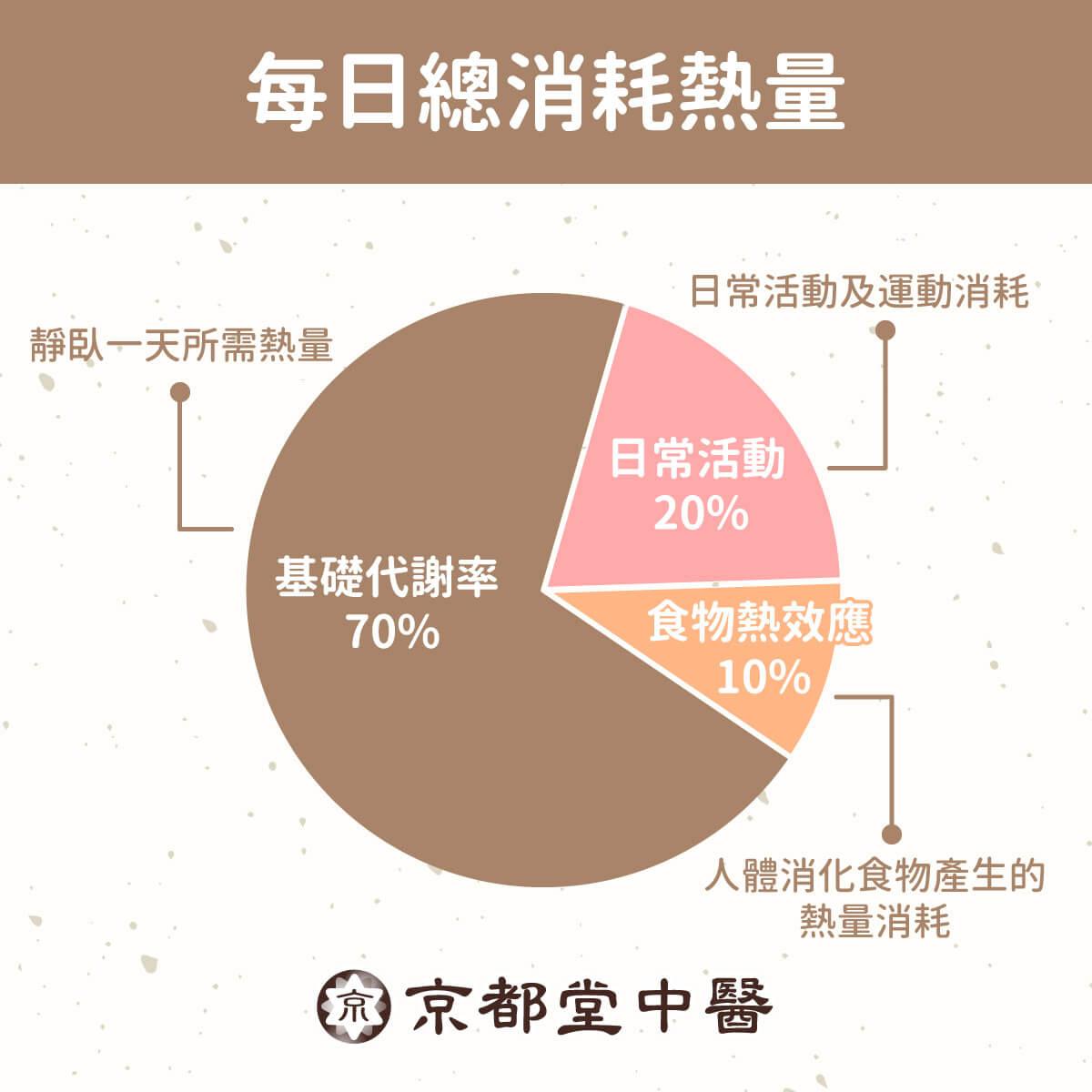 每日總消耗熱量佔比圖