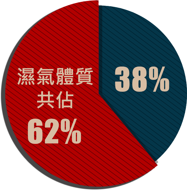 五型肥胖體質排名，濕氣體質共佔62%